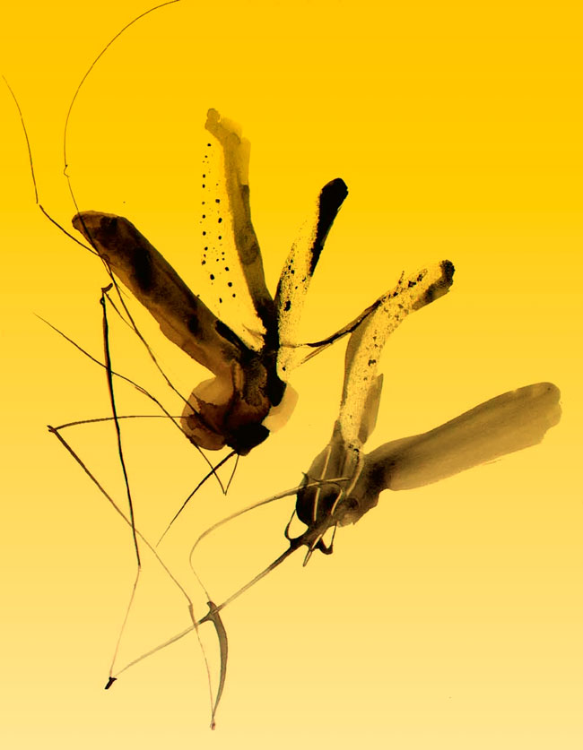 serenatazanzare2019_imgweb_54_3284.jpg